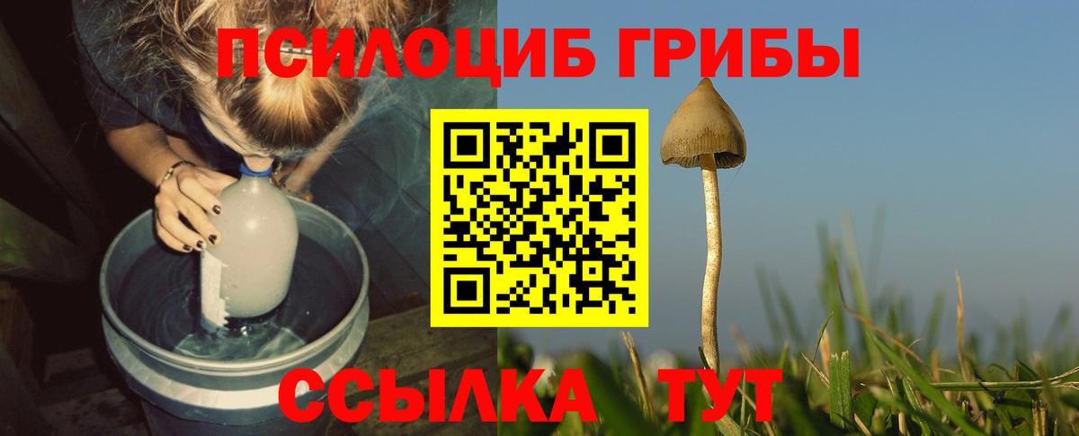 Галлюциногенные грибы мицелий  Вход с VPN  Среднеуральск 